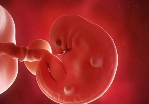 雌激素低對懷孕有什么影響,從這幾方面開始調理